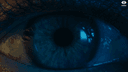 Thumbnail 6 of Extensee